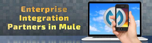 Enterprise Integration Partners in MuleSoft