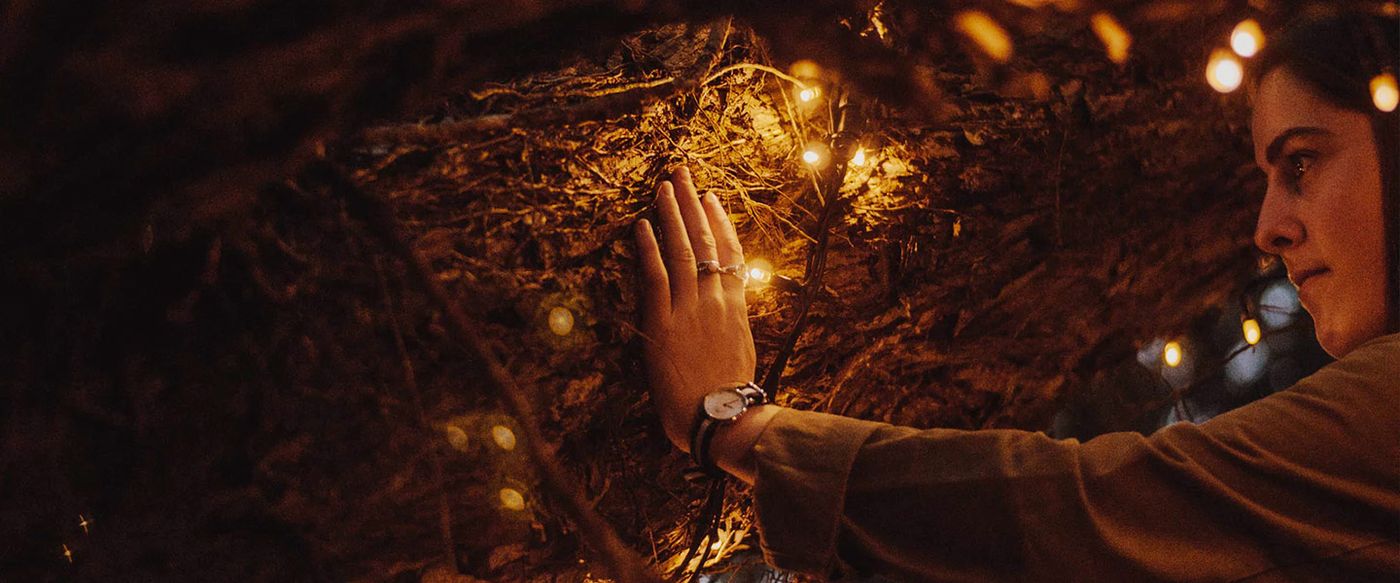 A hand reaches toward glowing string lights woven through branches at night