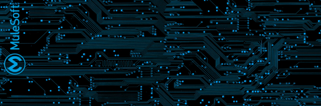 MuleSoft Anypoint Platform for APIs - Crowd Release