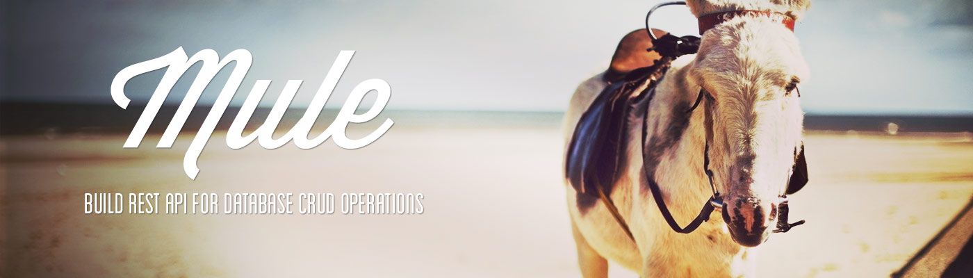 Mule - Build REST API for Database CRUD Operations
