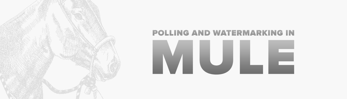 Polling and Watermarking in Mule