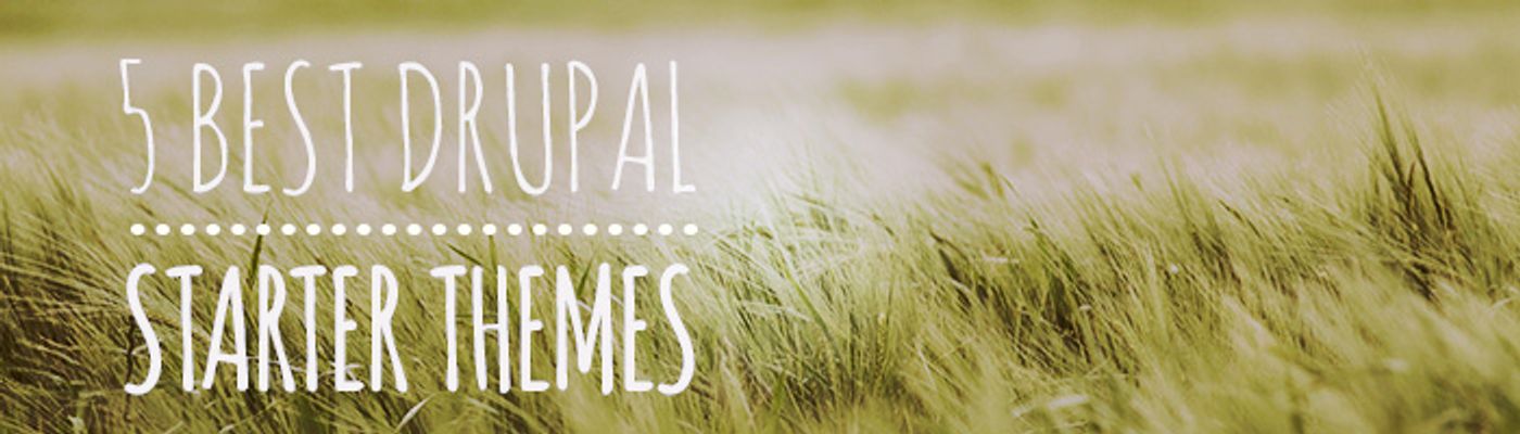5 Best Drupal Starter Themes