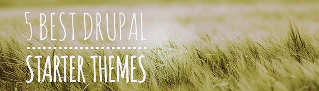 5 Best Drupal Starter Themes