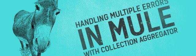 Handling Multiple Errors in Mule with Collection Aggregator