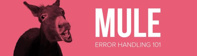 Mule Error Handling 101