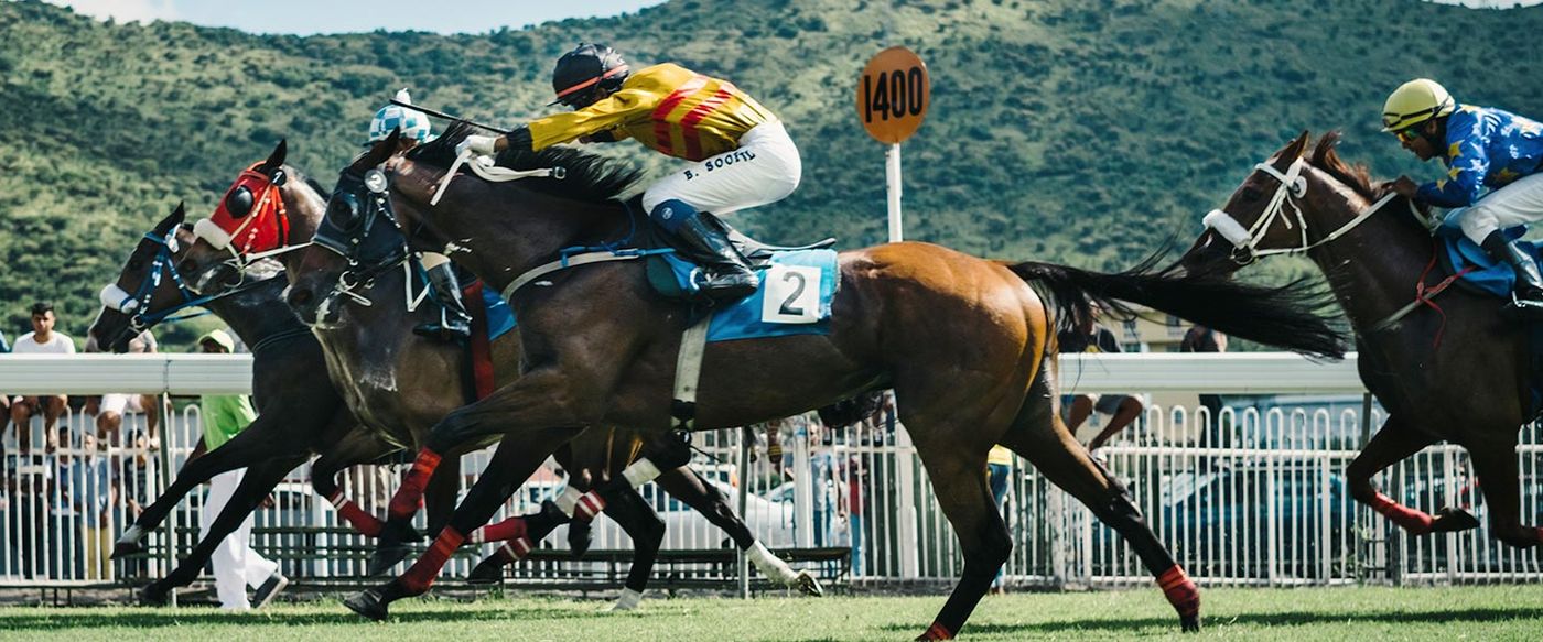 Jockeys race horses down the track past a marker post