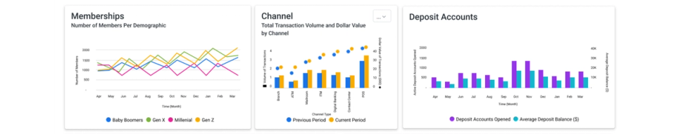 Looker dashboards showing memberships by demographic, channel volume and deposit accounts
