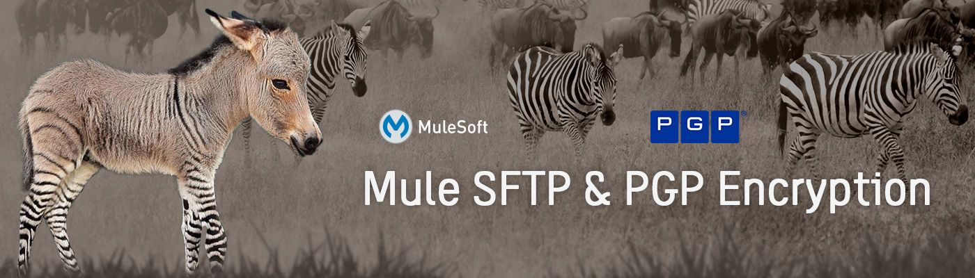 Mule SFTP and PGP Encryption