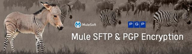 Mule SFTP and PGP Encryption