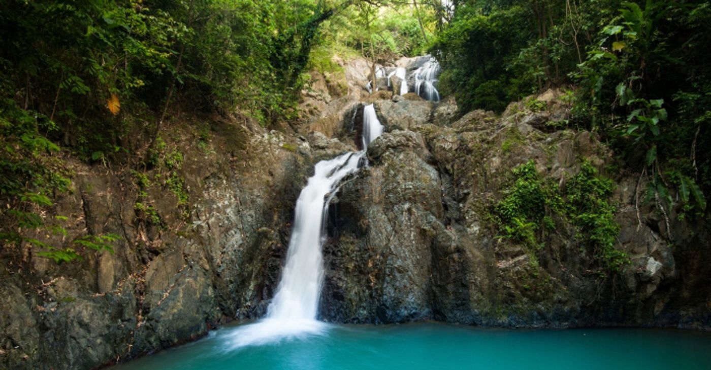 A tiered waterfall cascading into a turquoise pool in a lush Tobago rainforest