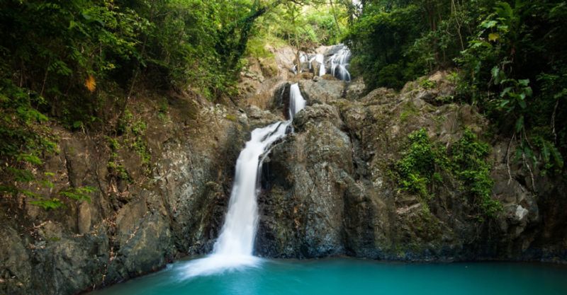 A tiered waterfall cascading into a turquoise pool in a lush Tobago rainforest