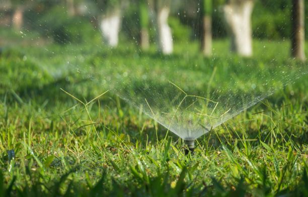 smart sprinkler on home lawn