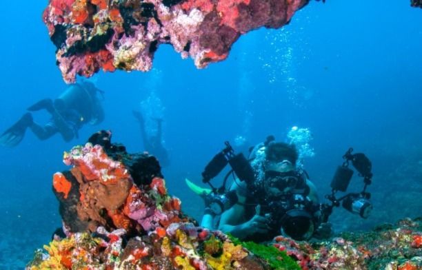 scuba divers at the ocean floor
