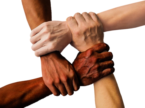Hands of various skin colors forming a bond