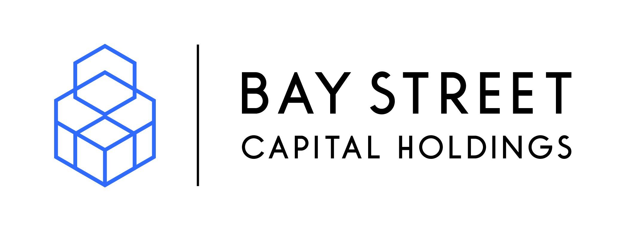 Basy Street Capital Holdings Logo