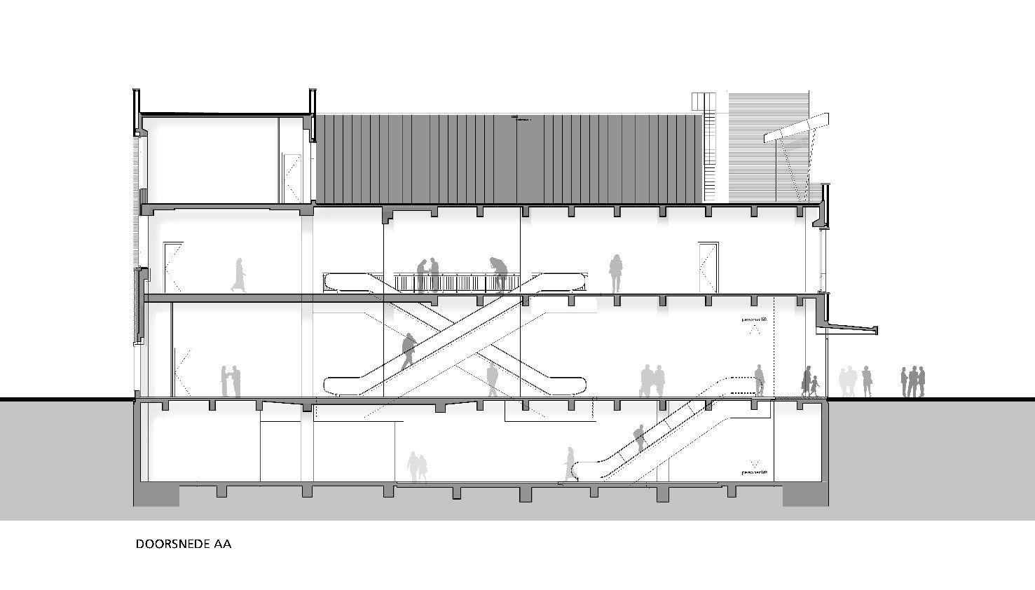 3022_01_N166_medium (1).jpg