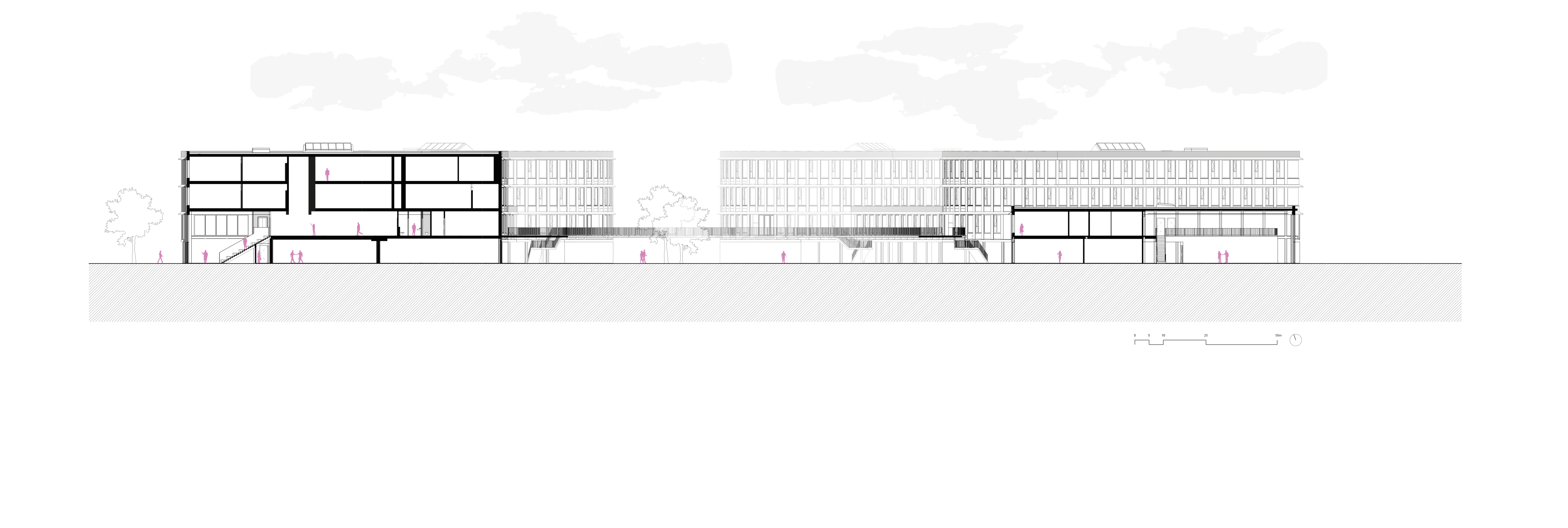 20181115 Campus Lelystad doorsnede © Kraaijvanger Architects.png