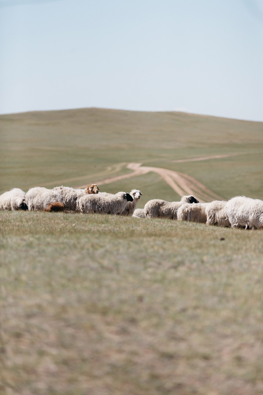 Leret Leret | Latente Studio