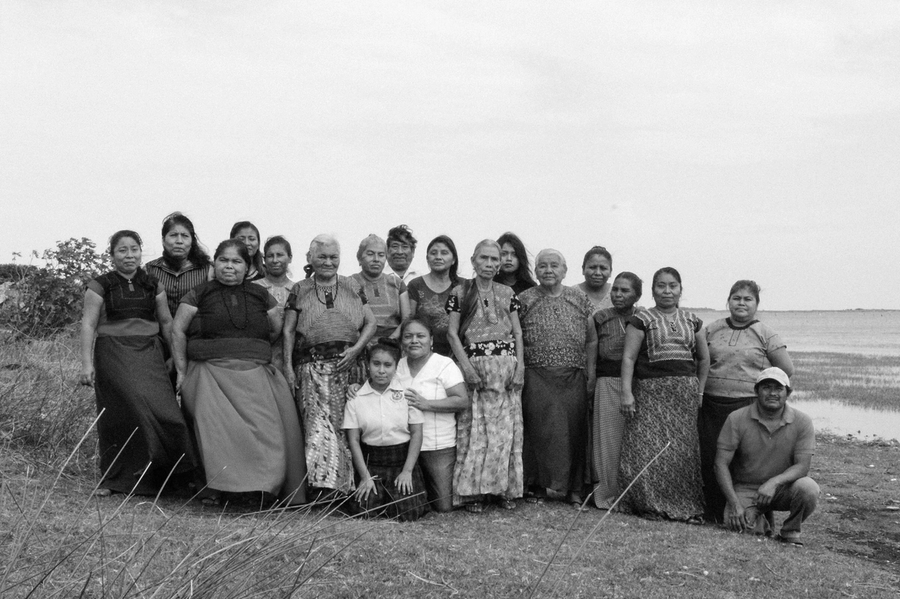 Cardinal | Latente Studio