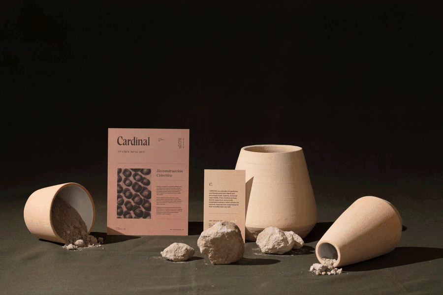 Cardinal | Latente Studio