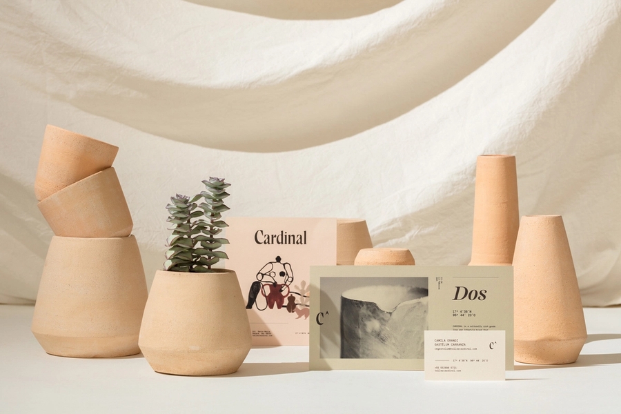 Cardinal | Latente Studio