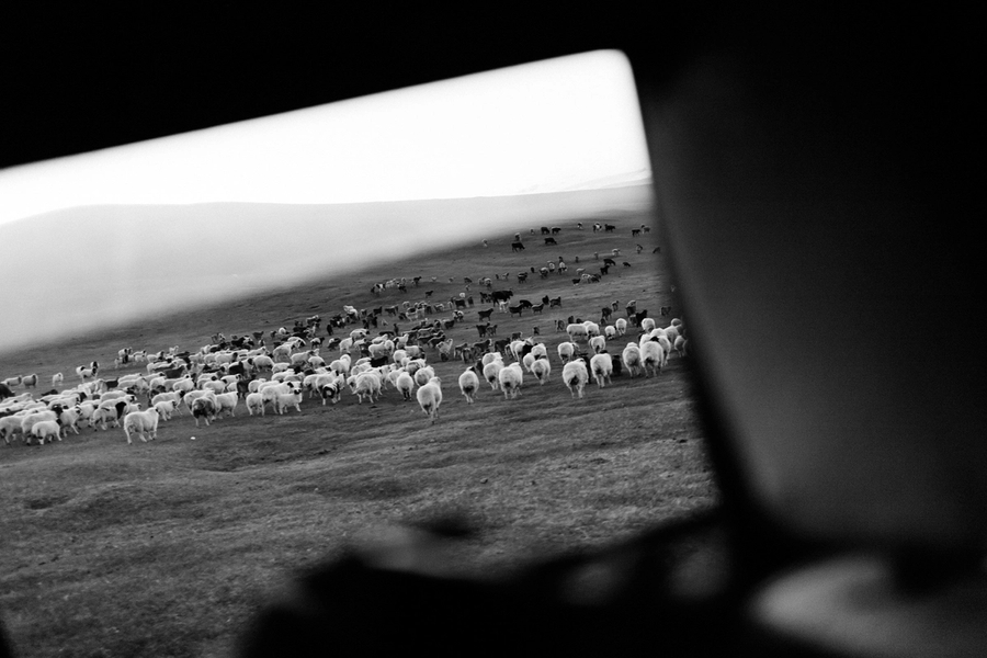 Leret Leret | Latente Studio