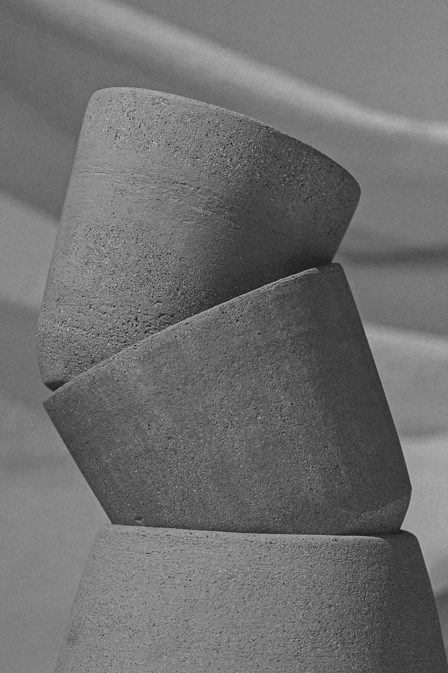 Cardinal | Latente Studio