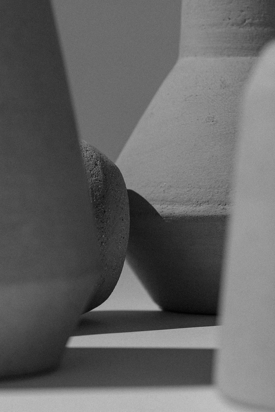 Cardinal | Latente Studio