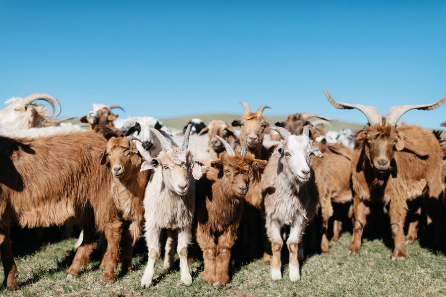 Leret Leret | Latente Studio