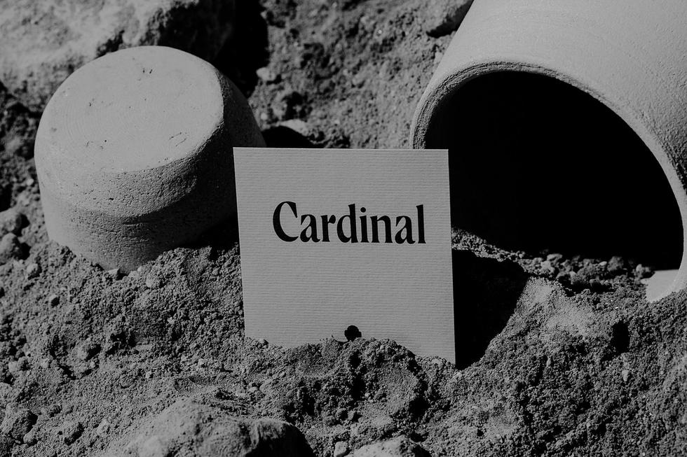 Cardinal | Latente Studio