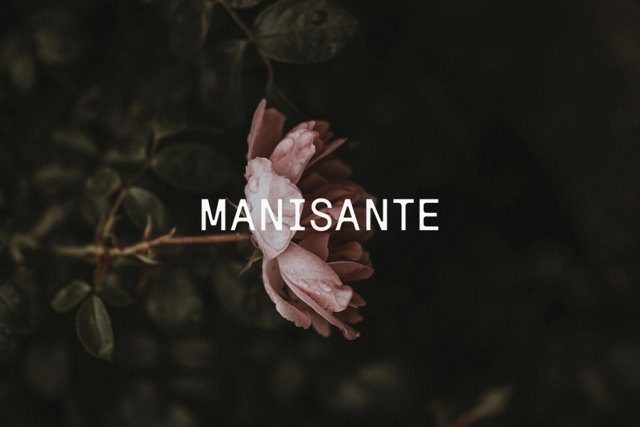 Manisante | Latente Studio