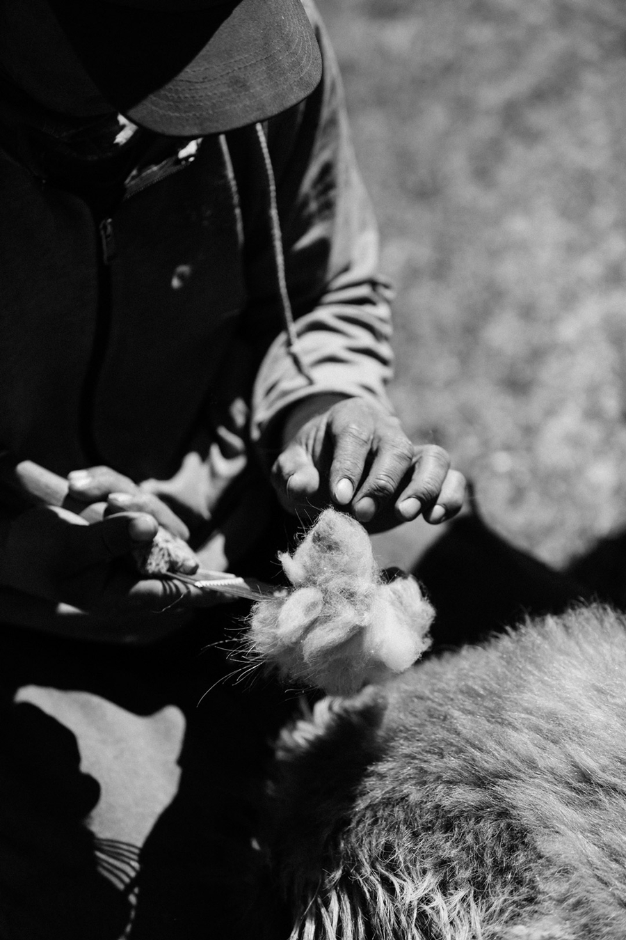 Leret Leret | Latente Studio