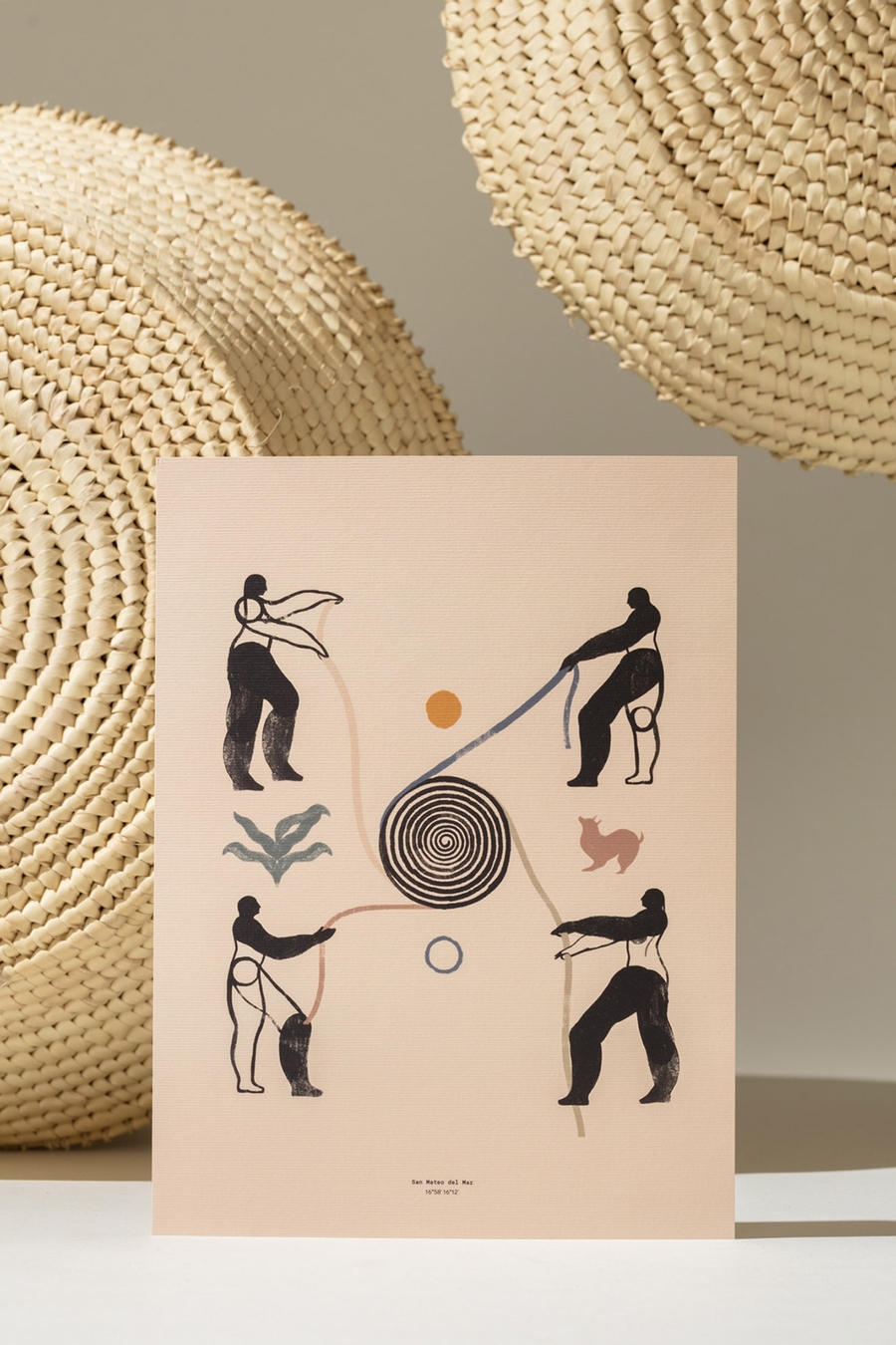 Cardinal | Latente Studio