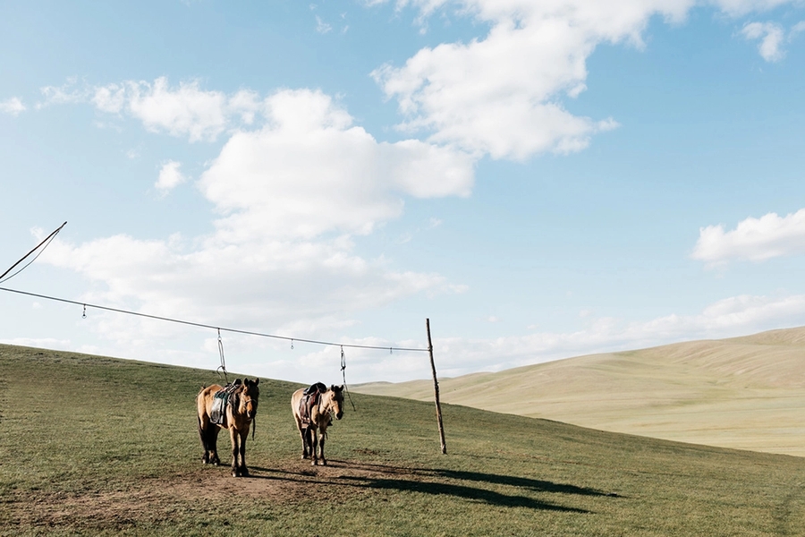 Leret Leret | Latente Studio