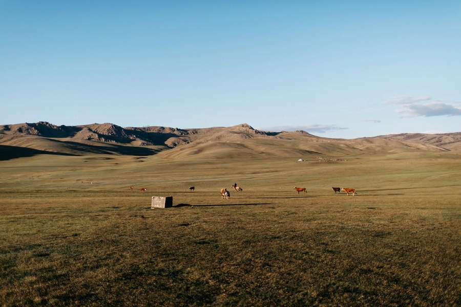 Leret Leret | Latente Studio