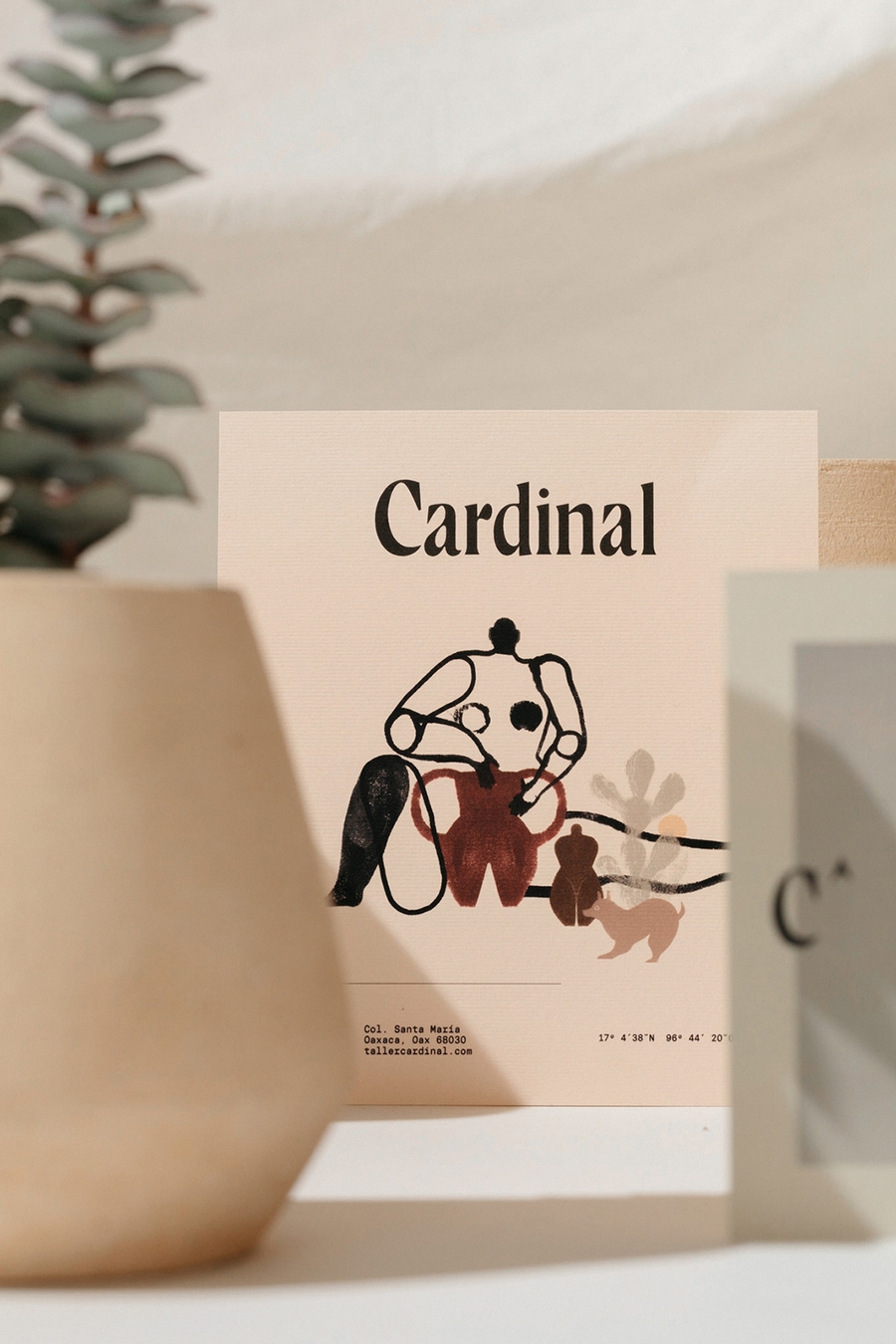 Cardinal | Latente Studio