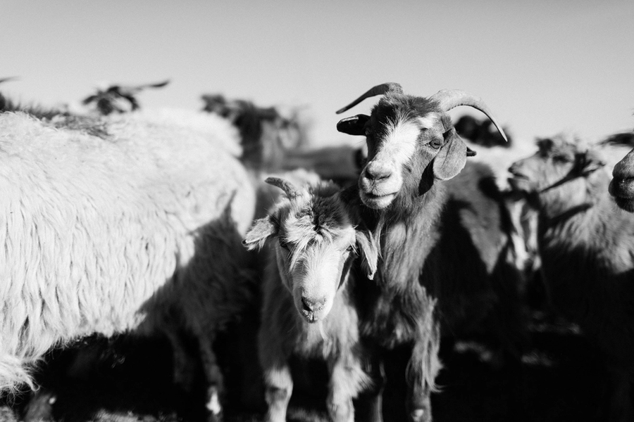 Leret Leret | Latente Studio