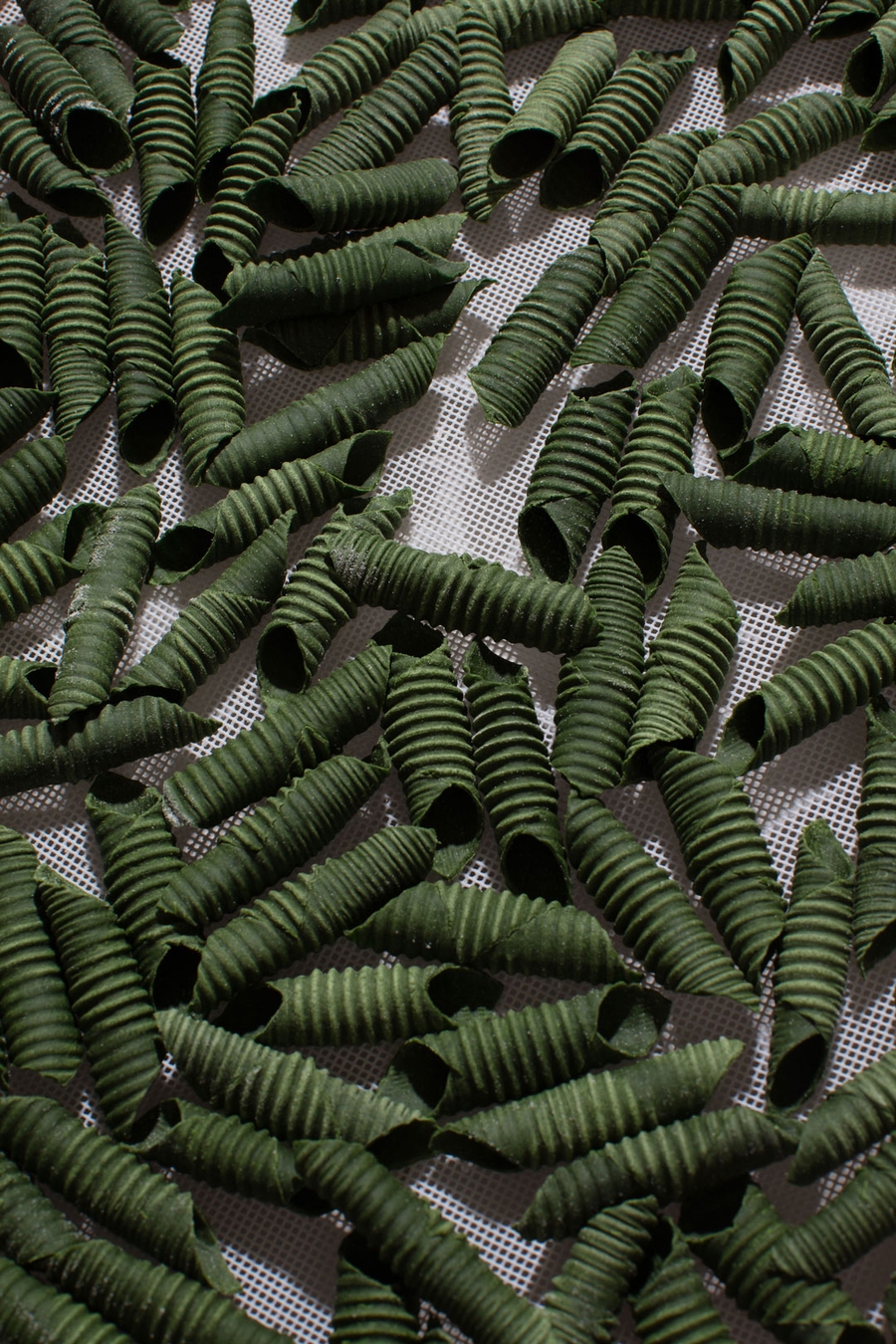 Mattea | Latente Studio