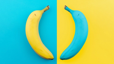 SAS VS SARL : Choisir la meilleure structure juridique pour votre entreprise