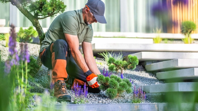 Devenir paysagiste auto-entrepreneur