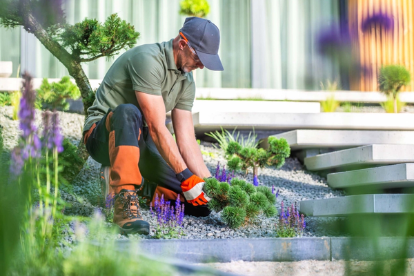 Devenir paysagiste auto-entrepreneur