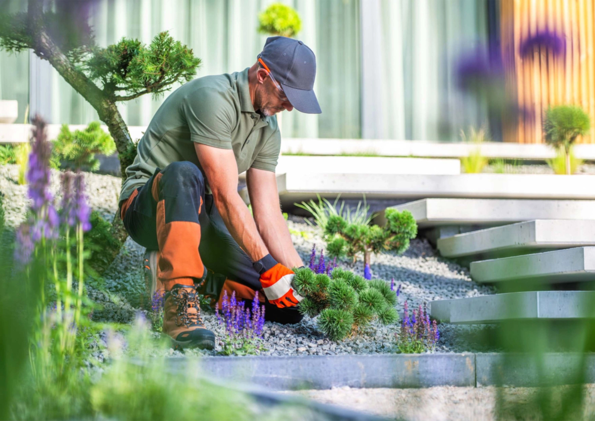 Paysagiste auto-entrepreneur : guide pour se lancer