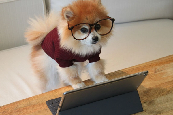 Pourquoi faire appel à un expert comptable ?