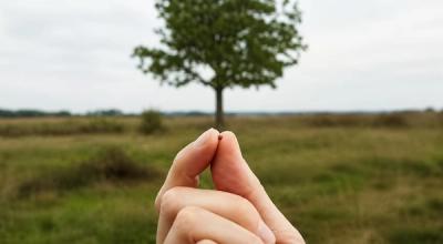 Mustard seed tree