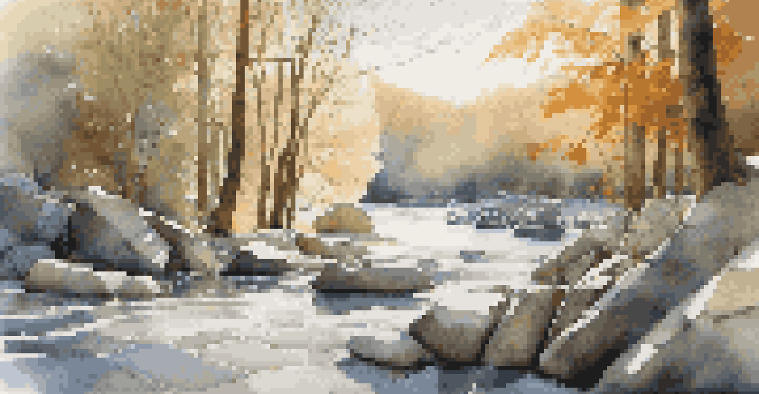 A natural sculpture created from leaves and stones in a peaceful outdoor setting, with sunlight illuminating the artwork.