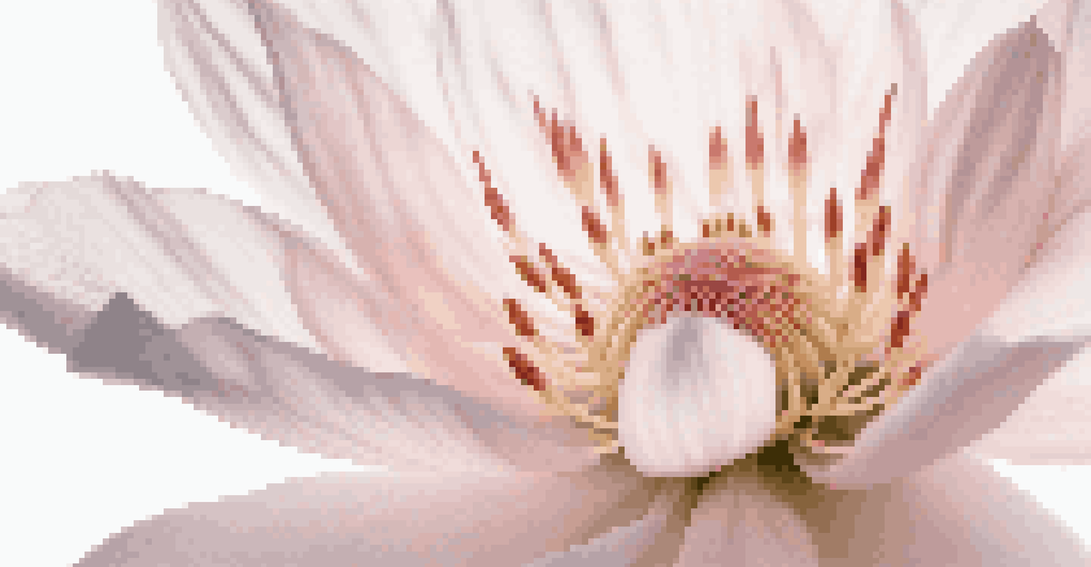 A close-up of a delicate pink flower against a white background, highlighting its intricate details.