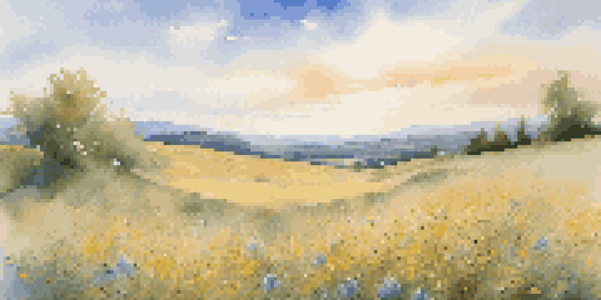 A vibrant field of wildflowers under a clear blue sky, with fluffy clouds and rolling hills in the background illuminated by golden sunlight.