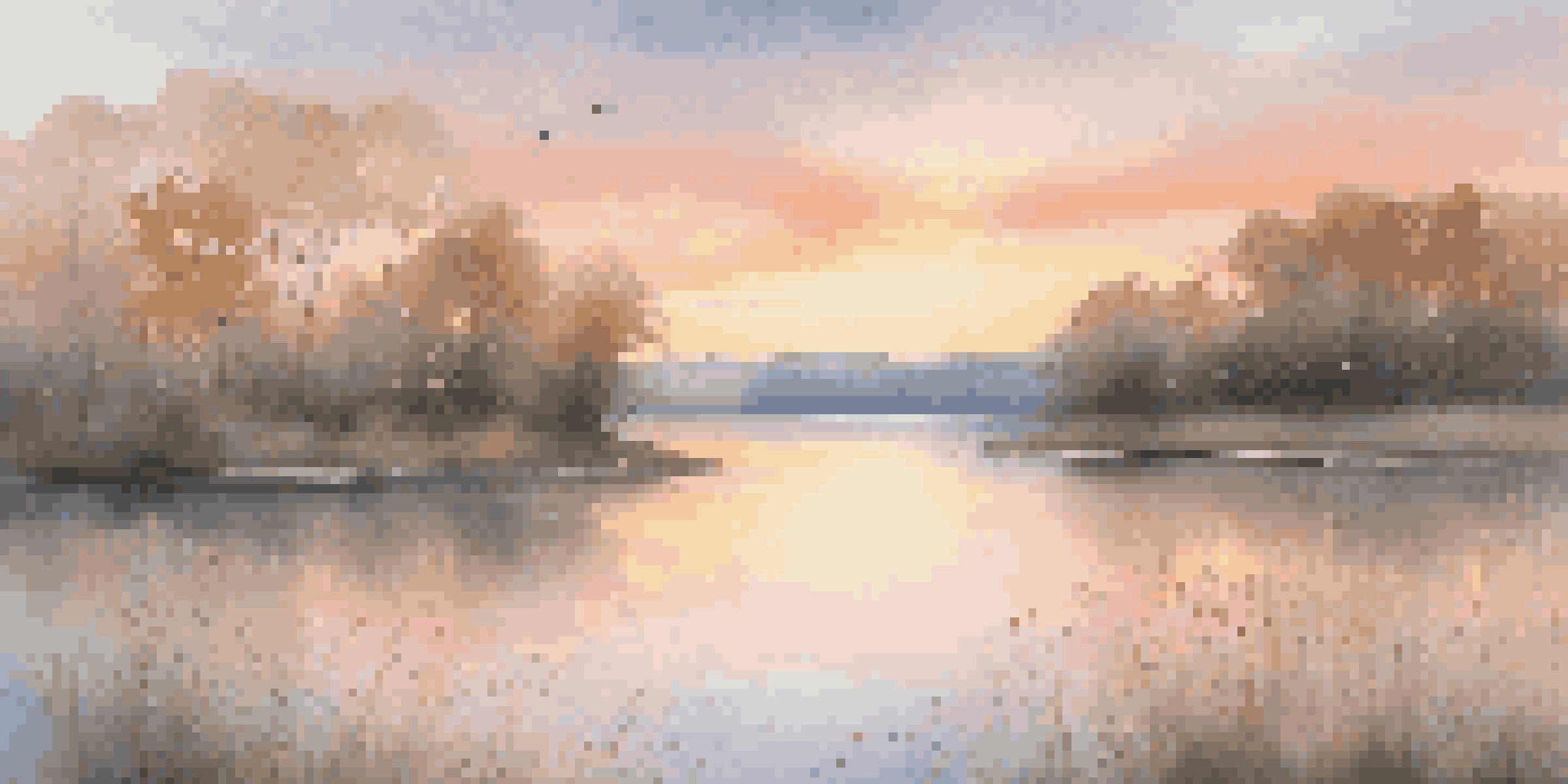 A beautiful sunrise over a calm lake with colorful reflections and wildflowers in the foreground.