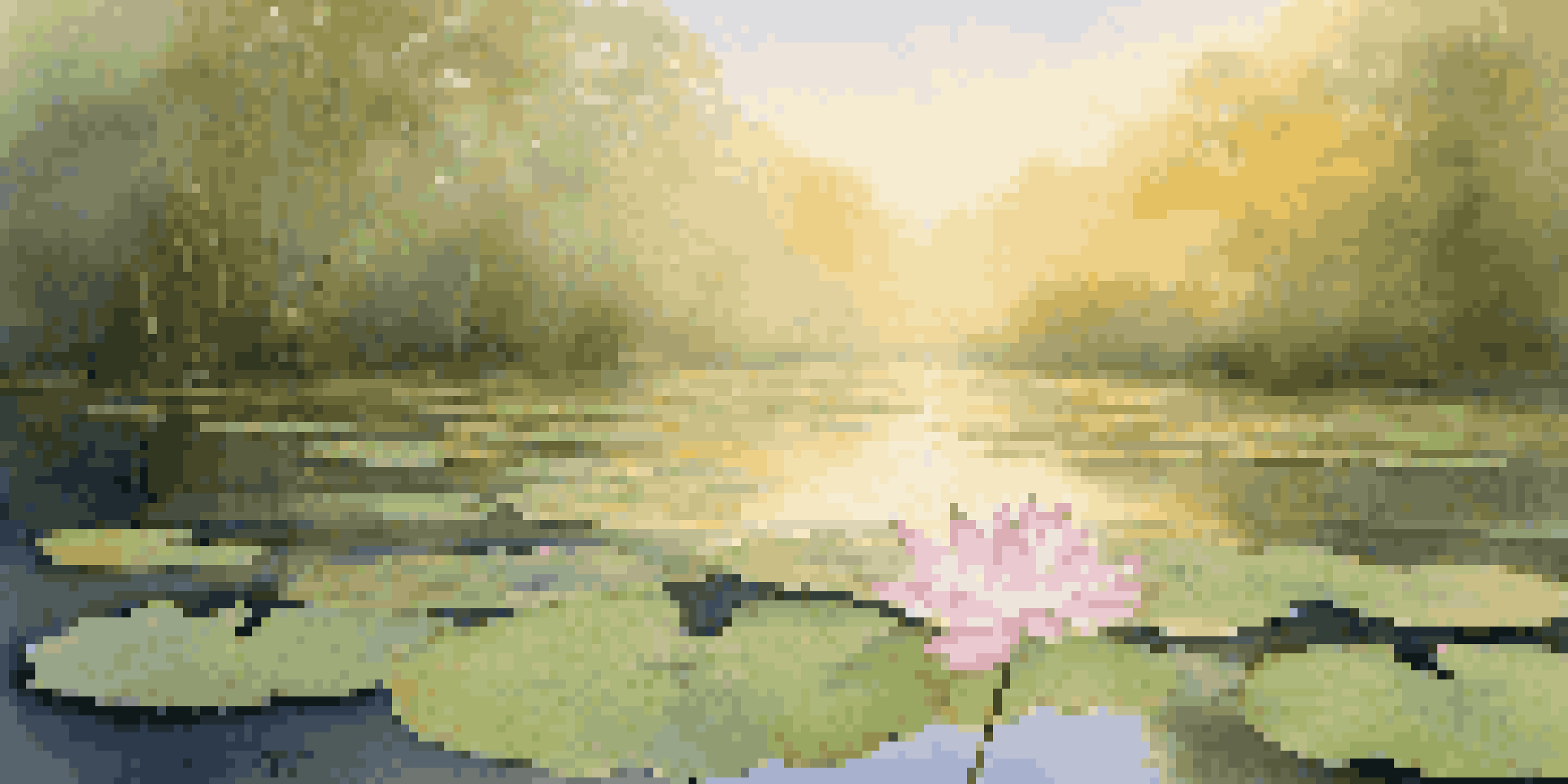 A beautiful lotus flower on a calm pond at sunrise, with soft golden light and lush greenery in the background.
