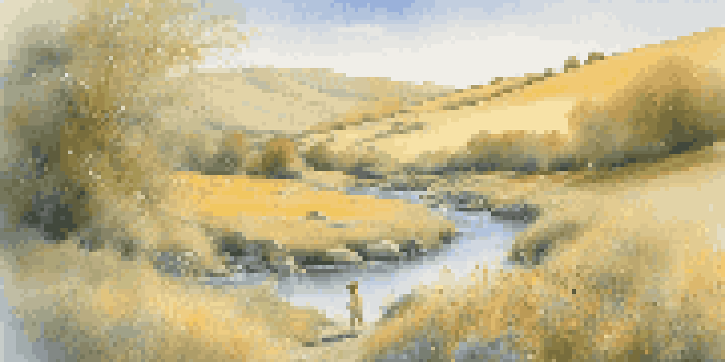 A peaceful childhood landscape with a child playing in a stream, surrounded by colorful wildflowers and bathed in golden sunlight.
